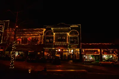 DSC_5869 (Large).JPG